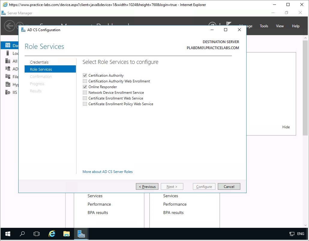 Figure 1.33 Screenshot of the PLABDM01 desktop