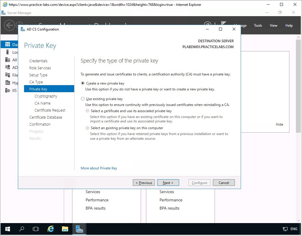 Figure 1.36 Screenshot of the PLABDM01 desktop
