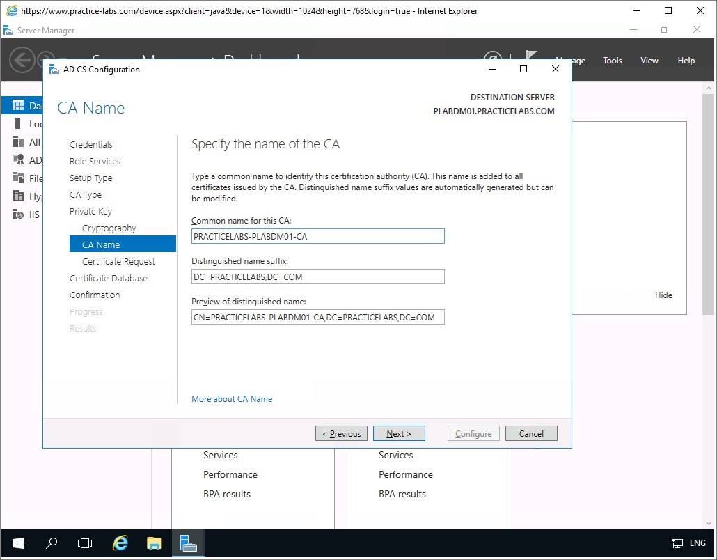 Figure 1.38 Screenshot of the PLABDM01 desktop