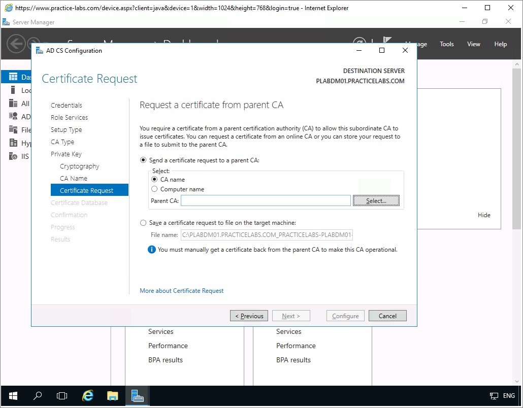 Figure 1.39 Screenshot of the PLABDM01 desktop