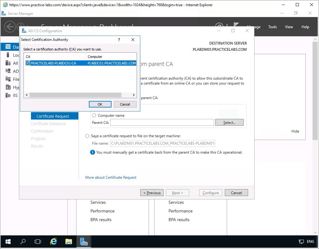 Figure 1.40 Screenshot of the PLABDM01 desktop