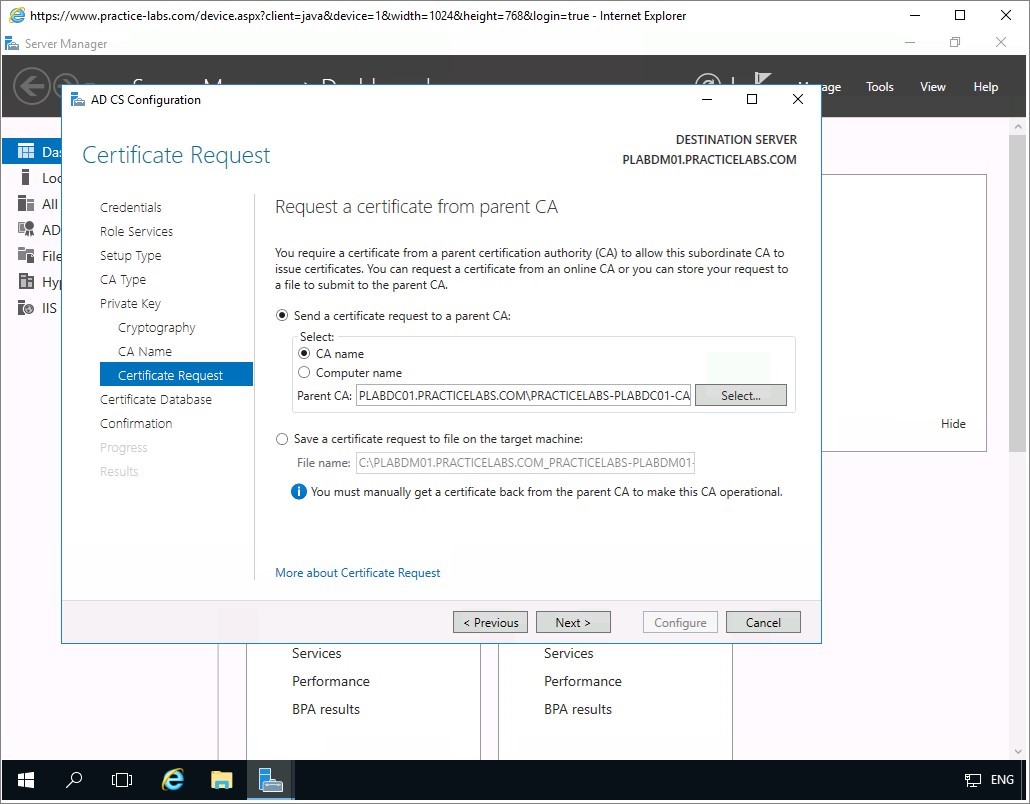 Figure 1.41 Screenshot of the PLABDM01 desktop