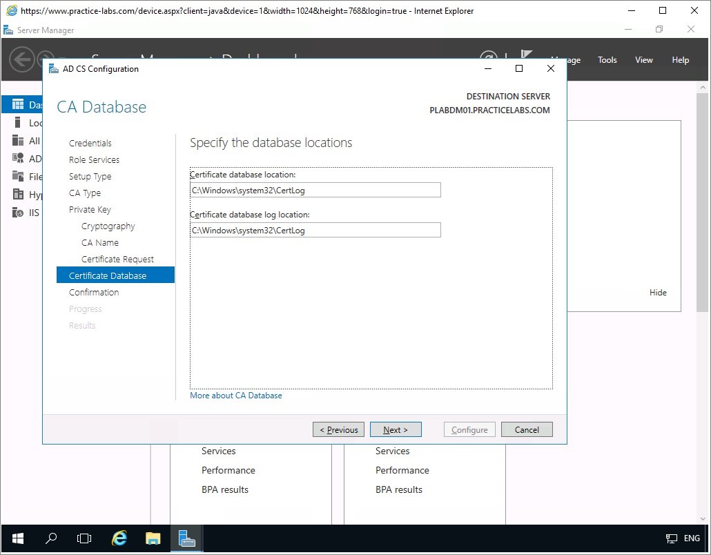 Figure 1.42 Screenshot of the PLABDM01 desktop