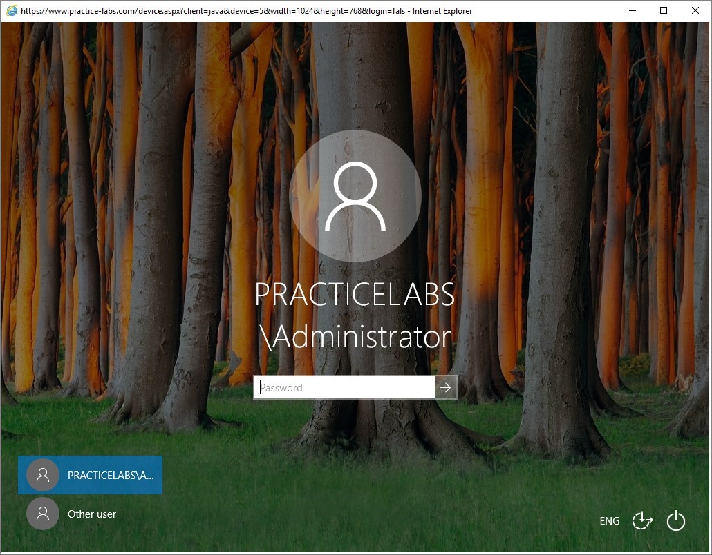 Figure 2.1 Screenshot of the PLABWIN10 desktop