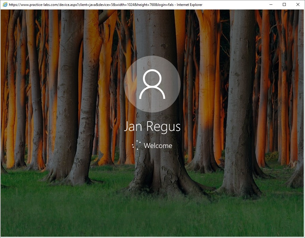 Figure 2.2 Screenshot of the PLABWIN10 desktop