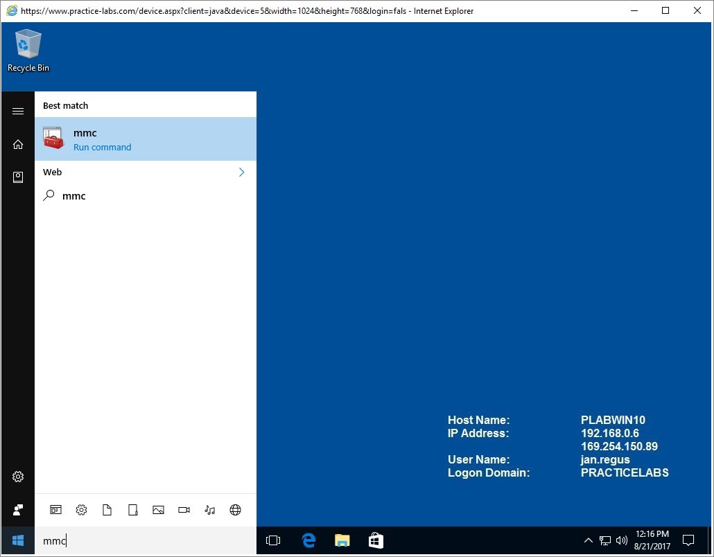 Figure 2.3 Screenshot of the PLABWIN10 desktop