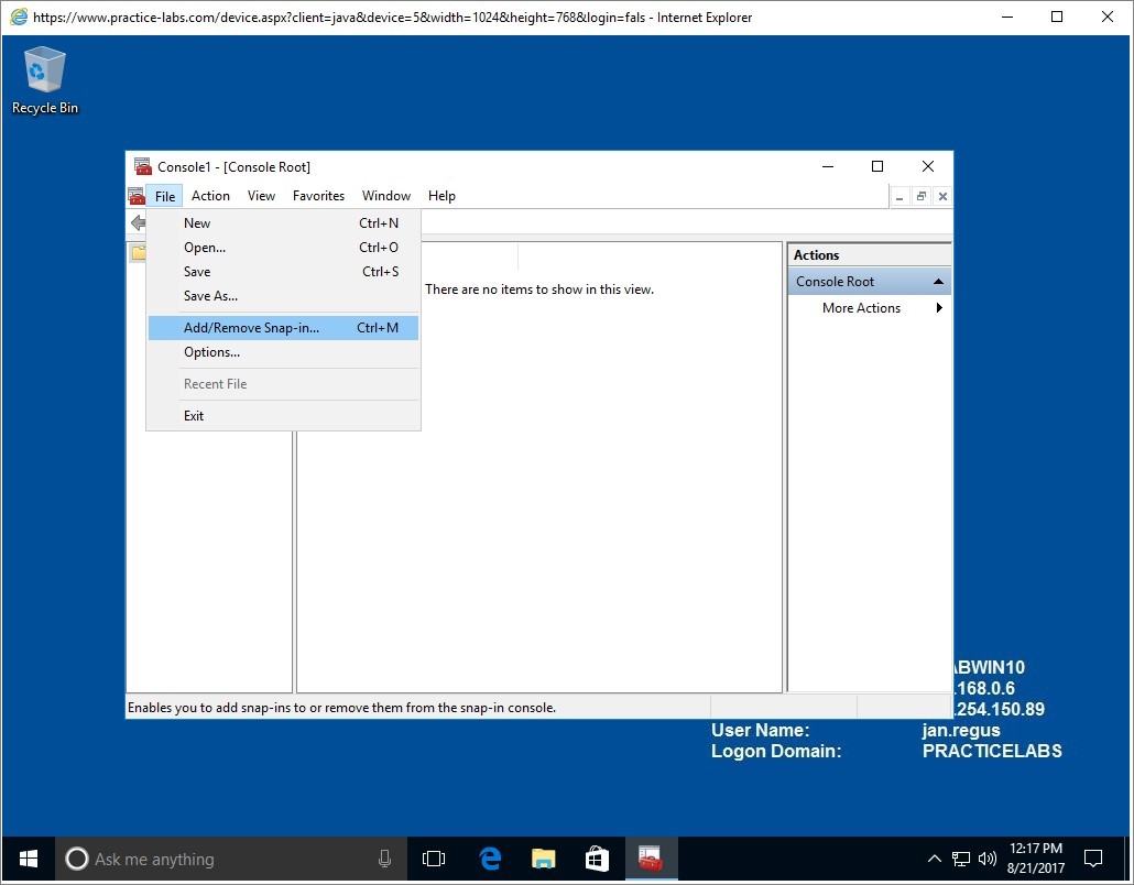 Figure 2.4 Screenshot of the PLABWIN10 desktop