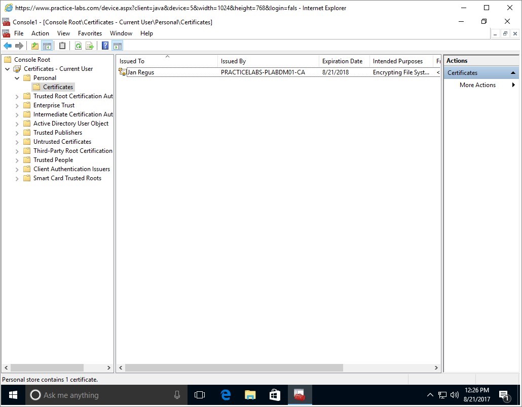 Figure 2.13 Screenshot of the PLABWIN10 desktop
