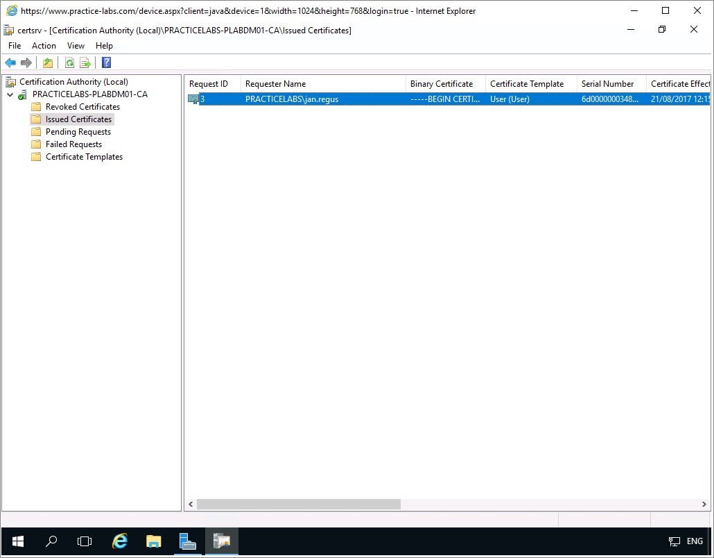 Figure 2.15 Screenshot of the PLABDM01 desktop