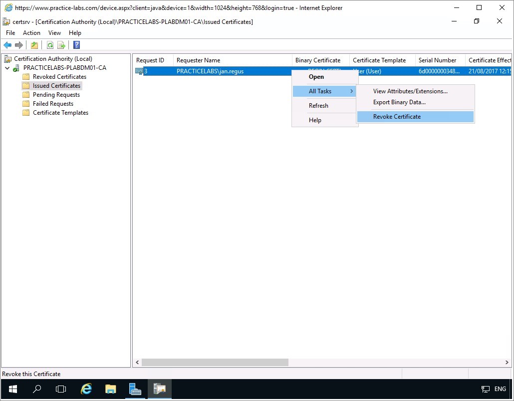 Figure 2.16 Screenshot of the PLABDM01 desktop
