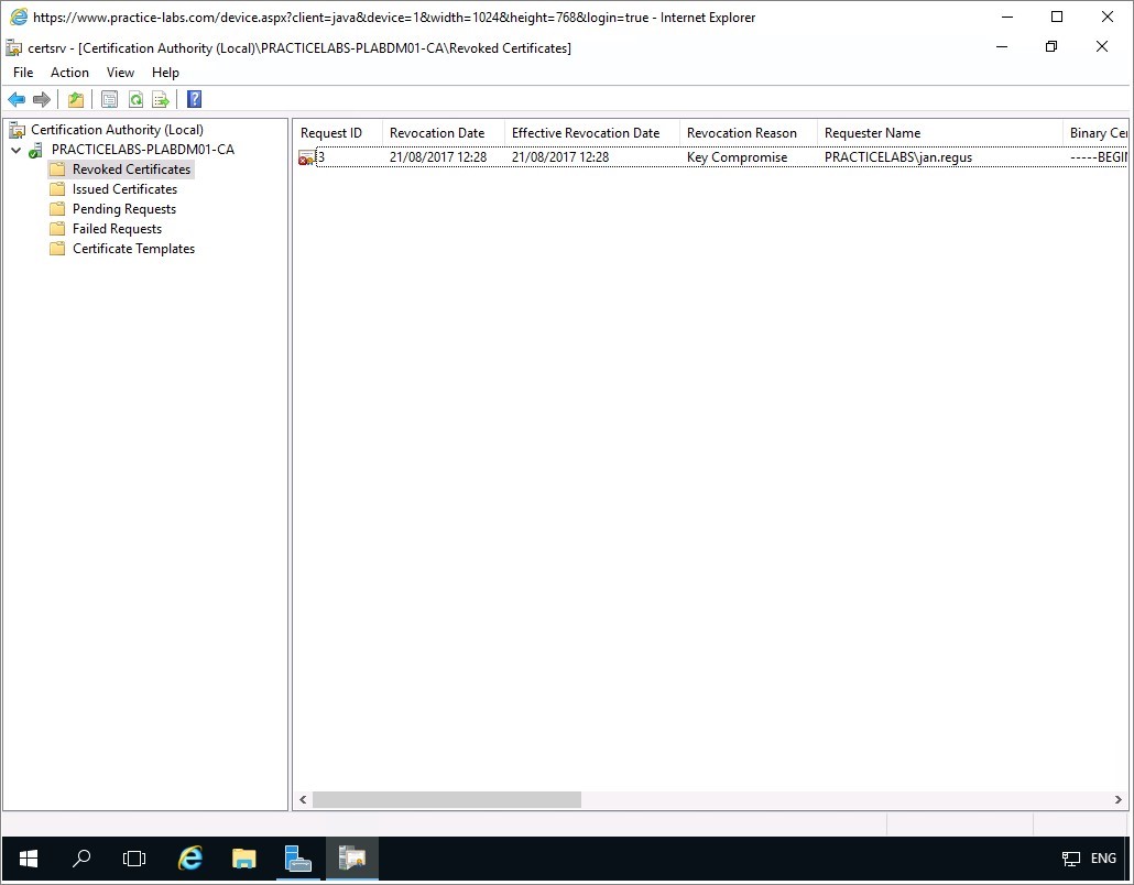 Figure 2.19 Screenshot of the PLABDM01 desktop