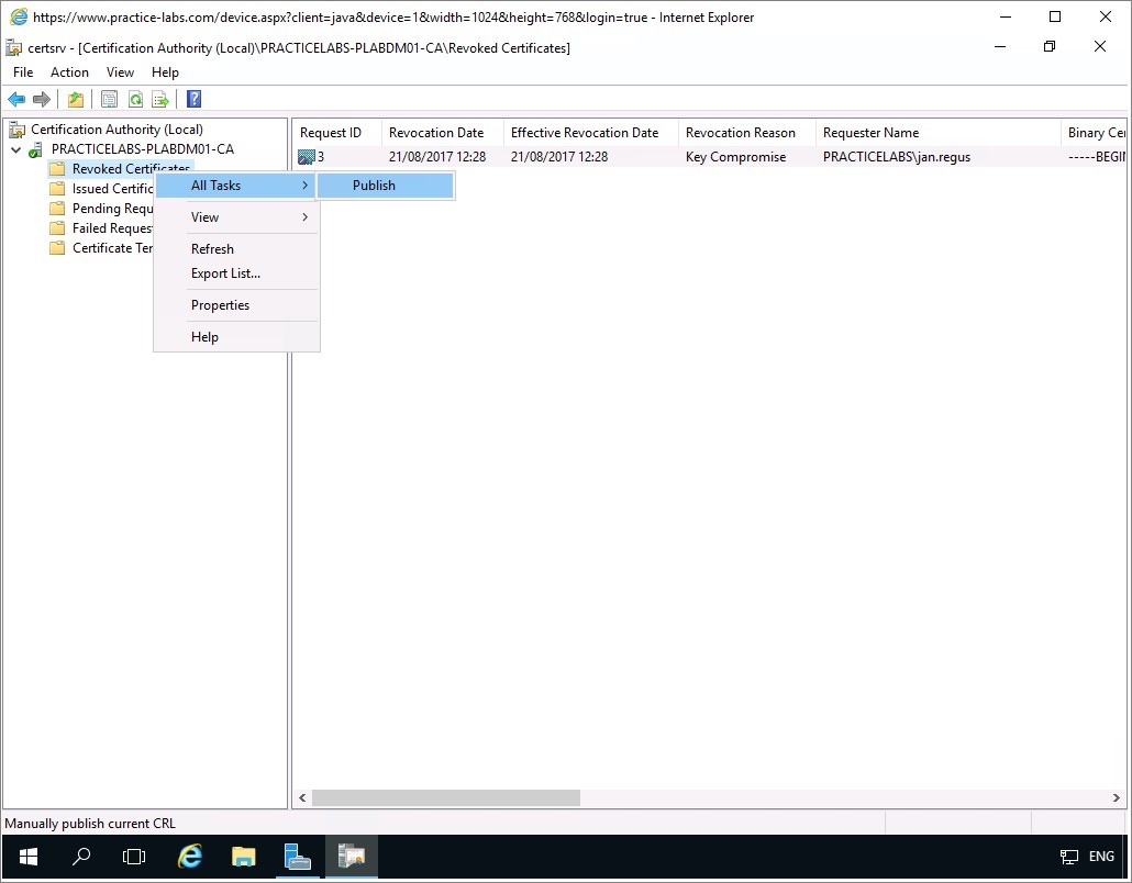 Figure 2.20 Screenshot of the PLABDM01 desktop