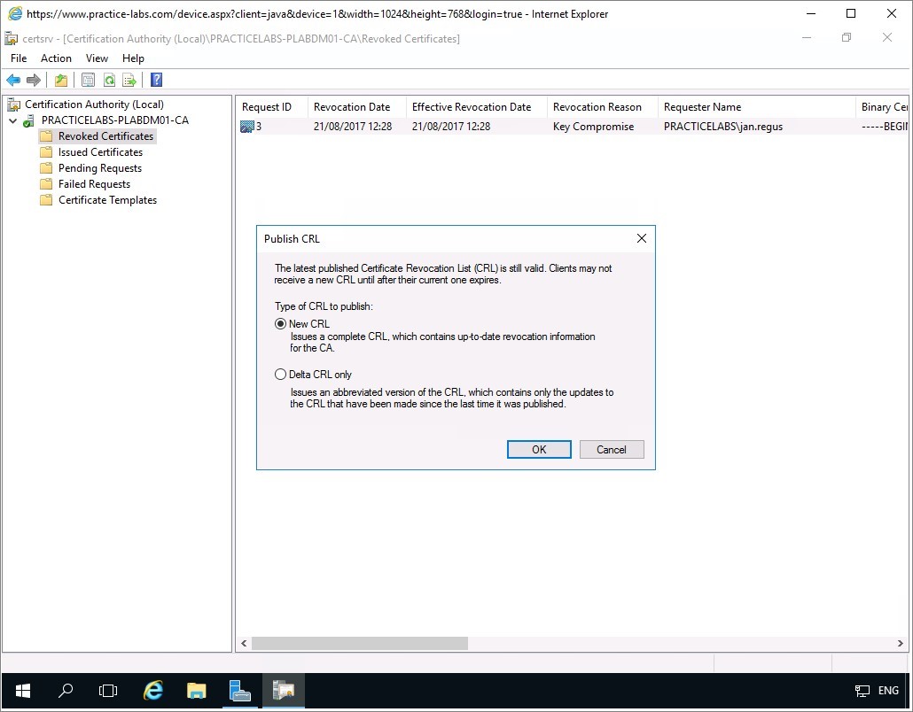 Figure 2.21 Screenshot of the PLABDM01 desktop