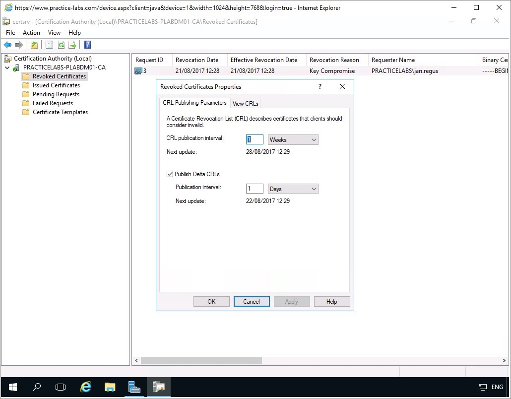 Figure 2.22 Screenshot of the PLABDM01 desktop