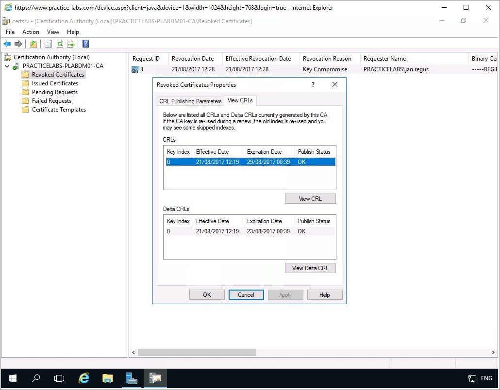 Figure 2.23 Screenshot of the PLABDM01 desktop