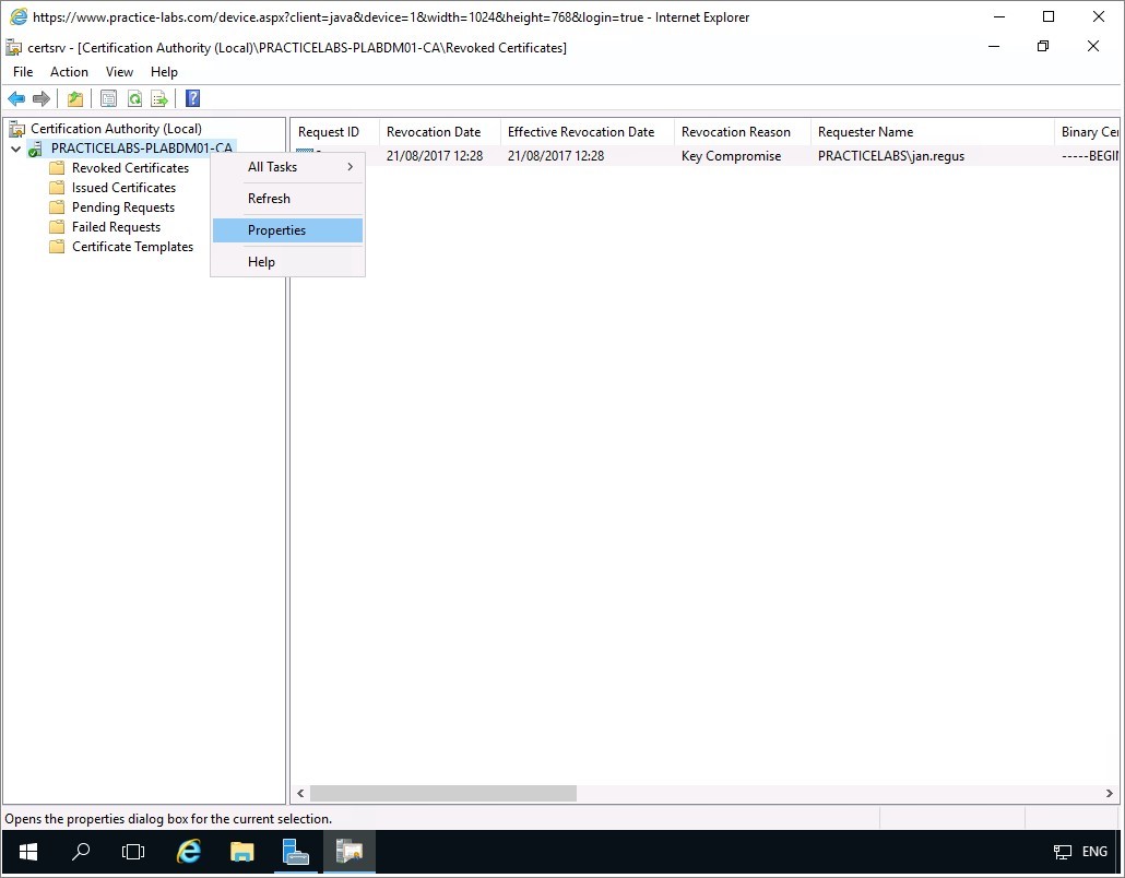 Figure 2.24 Screenshot of the PLABDM01 desktop