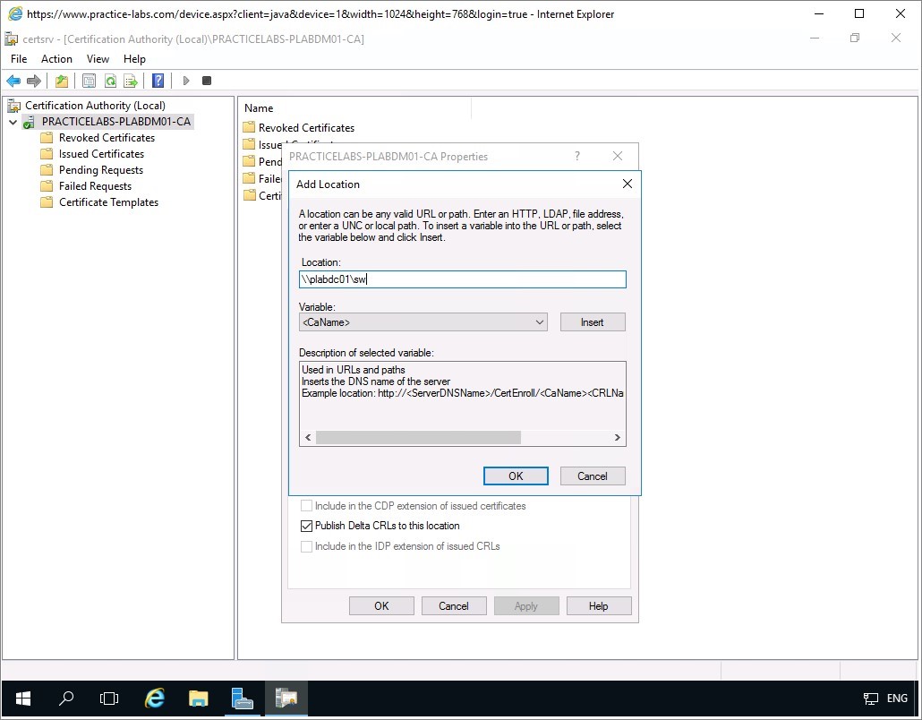 Figure 2.26 Screenshot of the PLABDM01 desktop