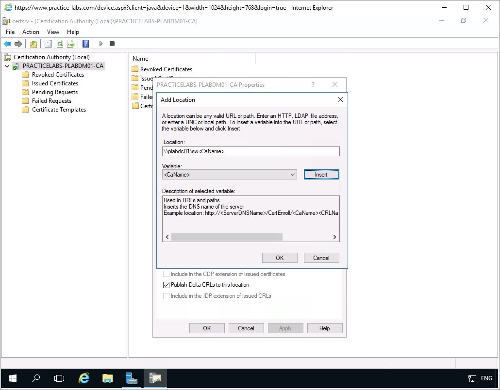 Figure 2.27 Screenshot of the PLABDM01 desktop