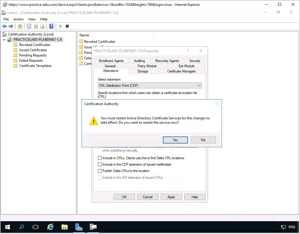 Figure 2.28 Screenshot of the PLABDM01 desktop