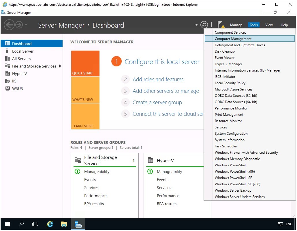 Figure 1.1 Screenshot of the PLABDM01 desktop