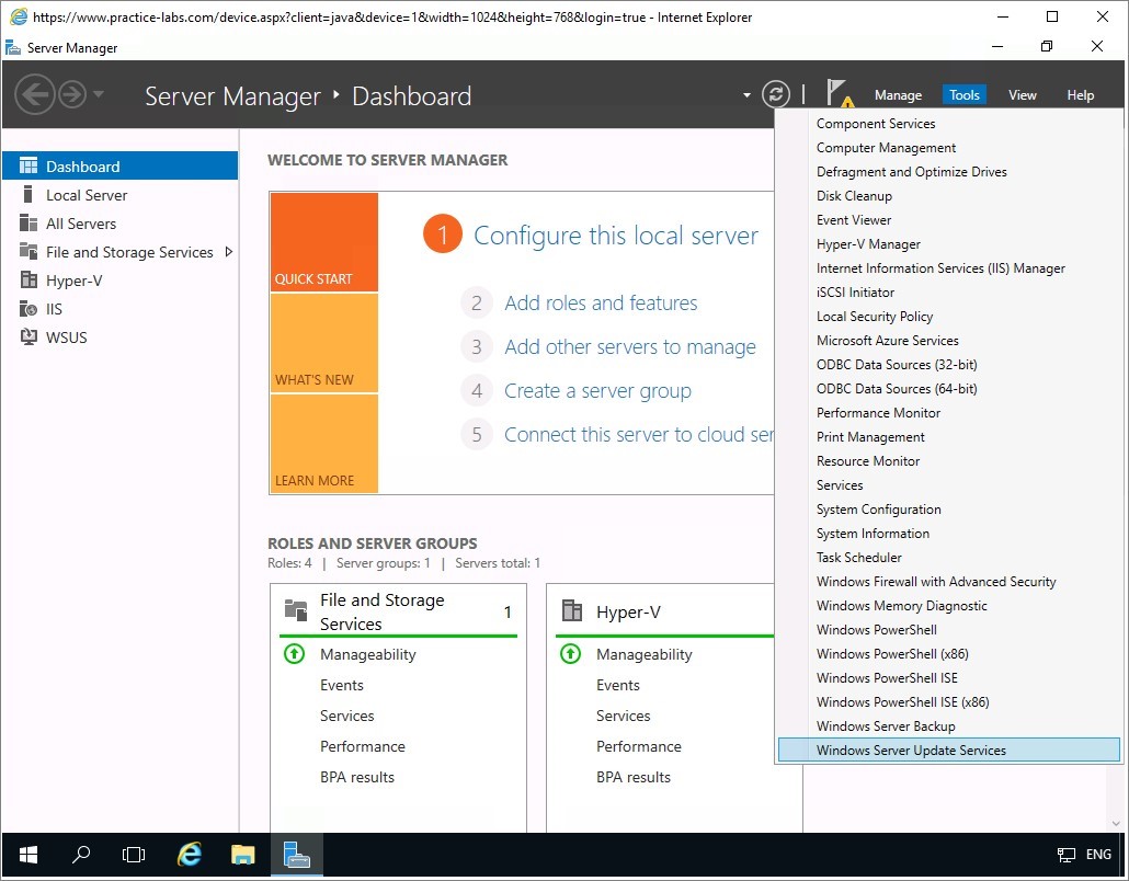 Figure 1.10 Screenshot of the PLABDM01 desktop