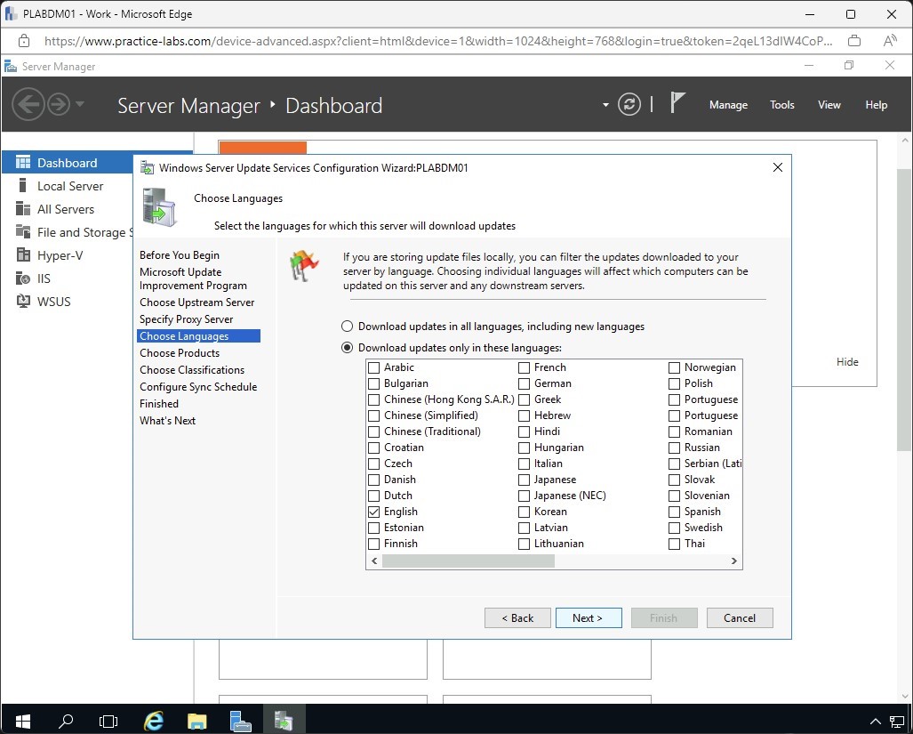 Figure 1.17 Screenshot of the PLABDM01 desktop