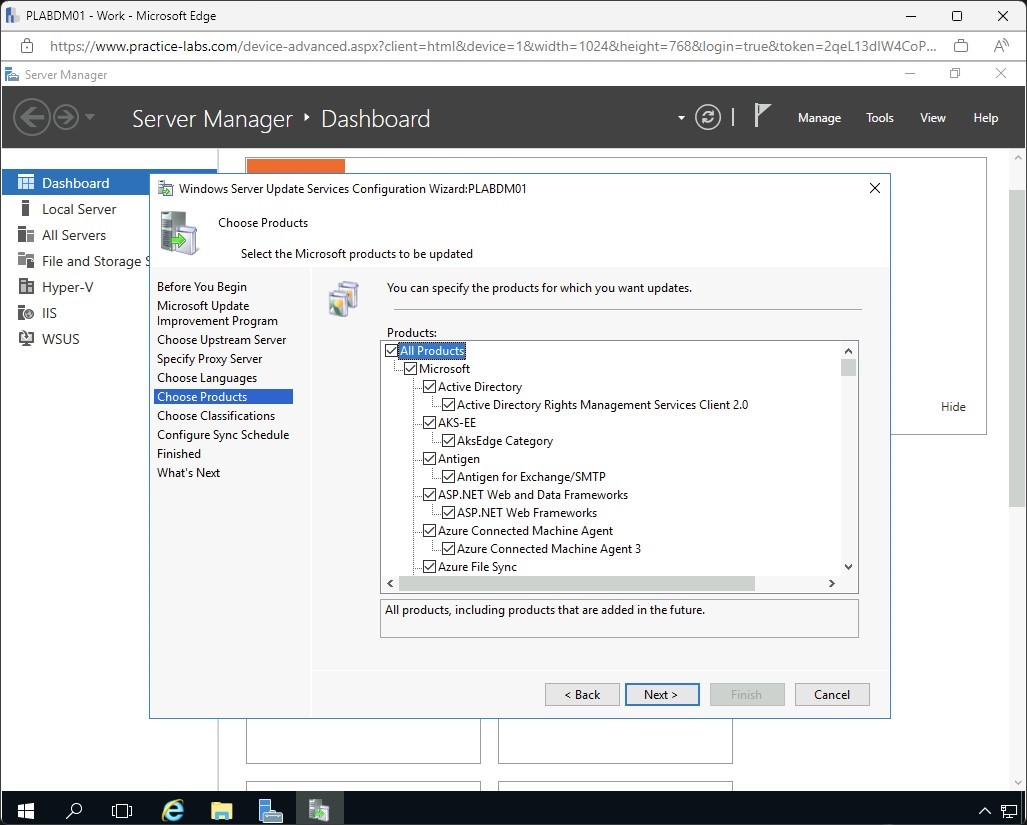 Figure 1.18 Screenshot of the PLABDM01 desktop