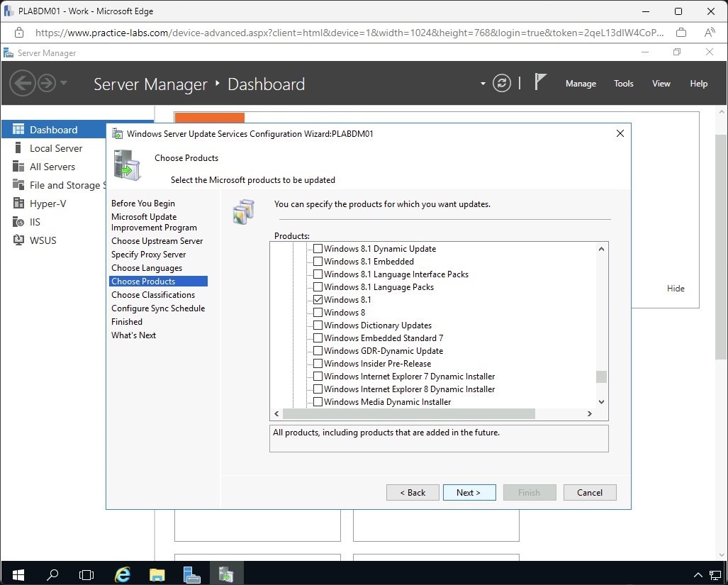 Figure 1.19 Screenshot of the PLABDM01 desktop