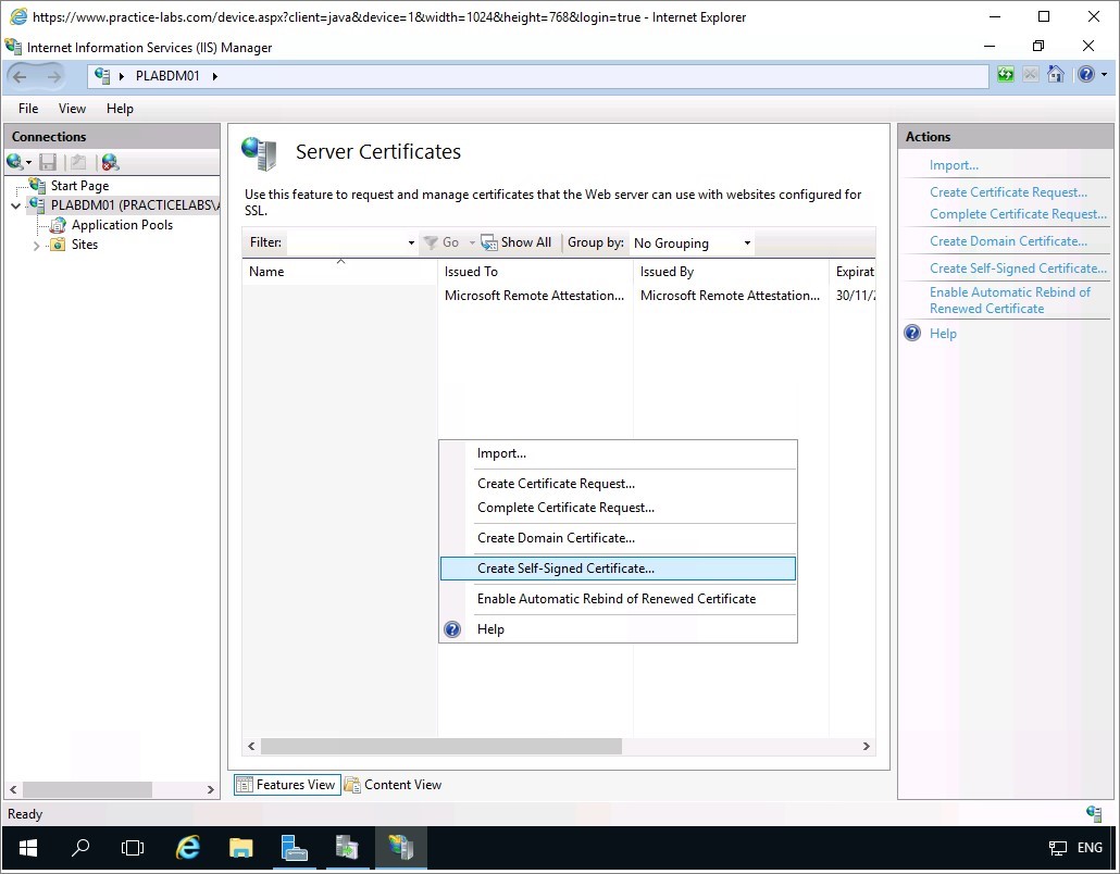 Figure 1.28 Screenshot of the PLABDM01 desktop