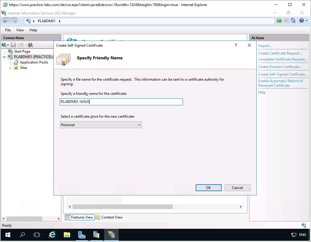 Figure 1.29 Screenshot of the PLABDM01 desktop