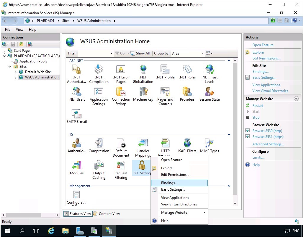 Figure 1.30 Screenshot of the PLABDM01 desktop
