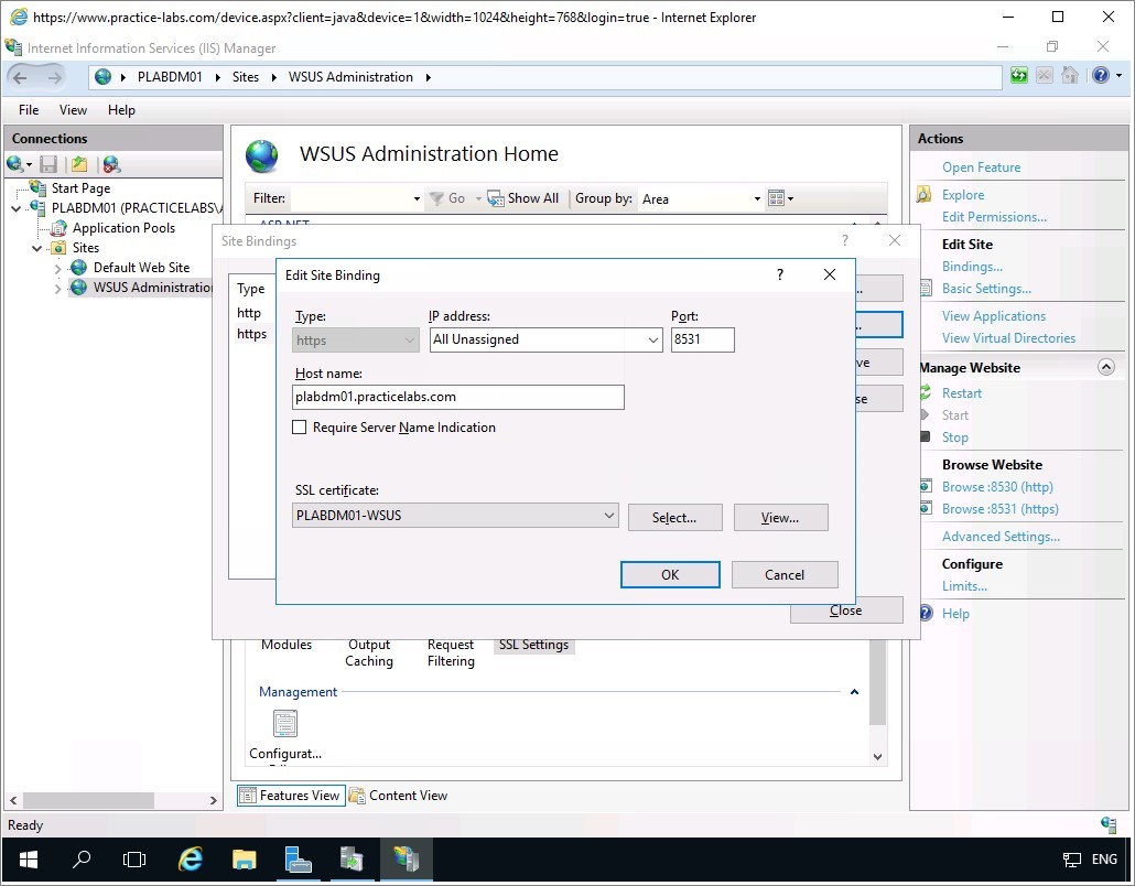 Figure 1.32 Screenshot of the PLABDM01 desktop