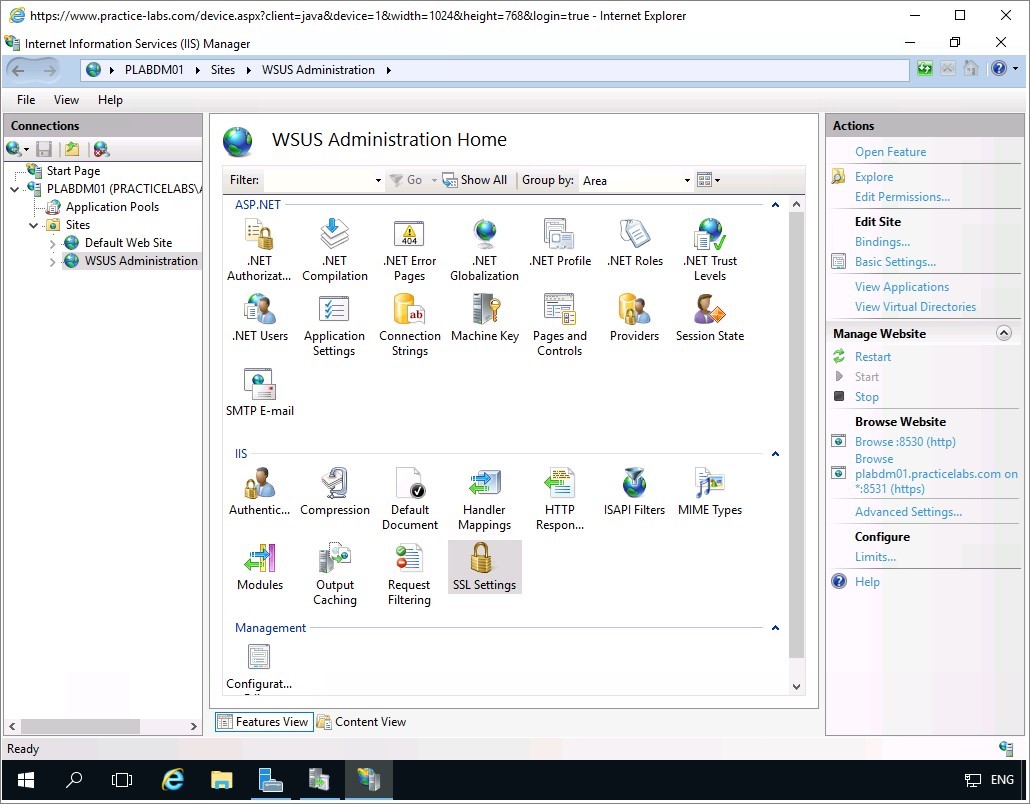Figure 1.33 Screenshot of the PLABDM01 desktop