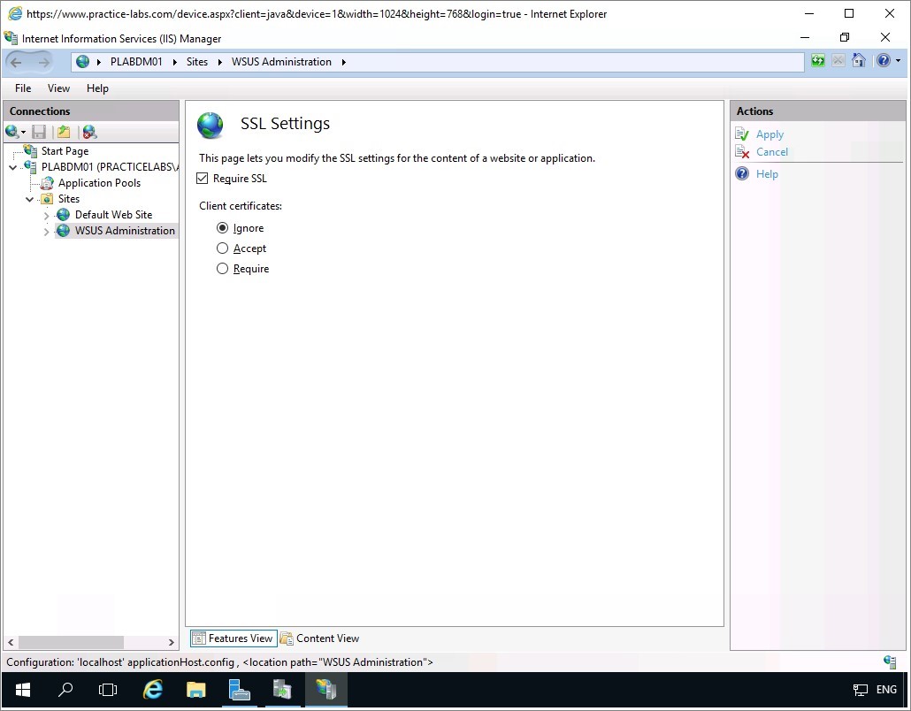Figure 1.34 Screenshot of the PLABDM01 desktop