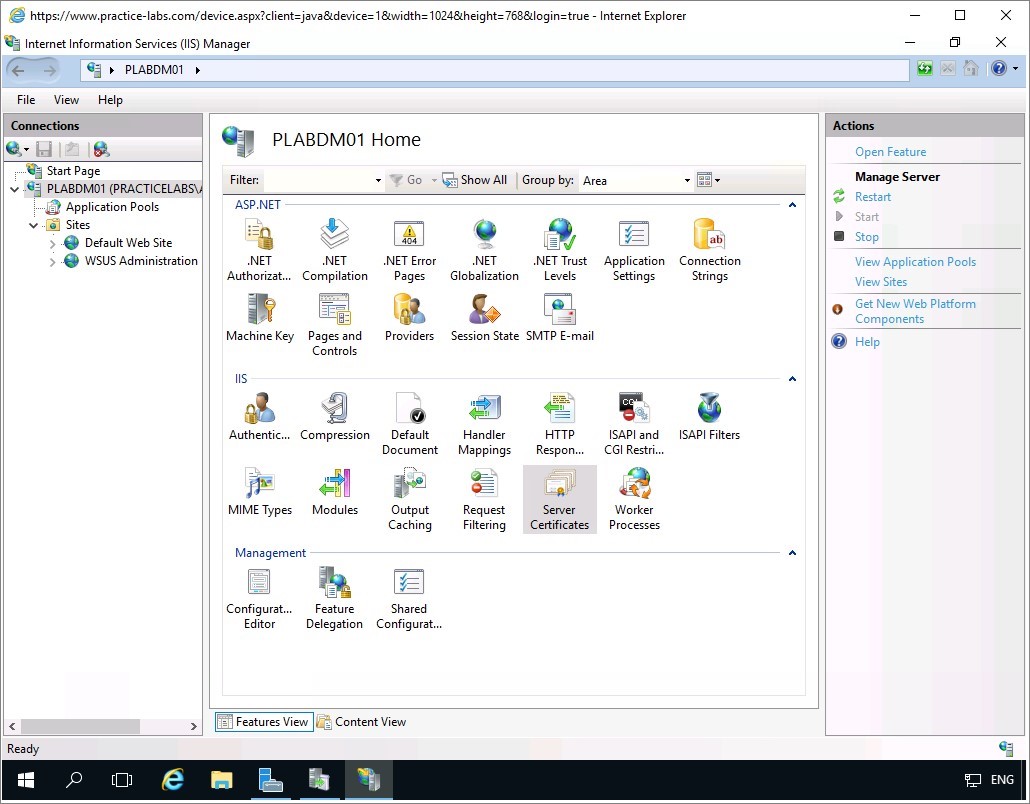 Figure 1.35 Screenshot of the PLABDM01 desktop