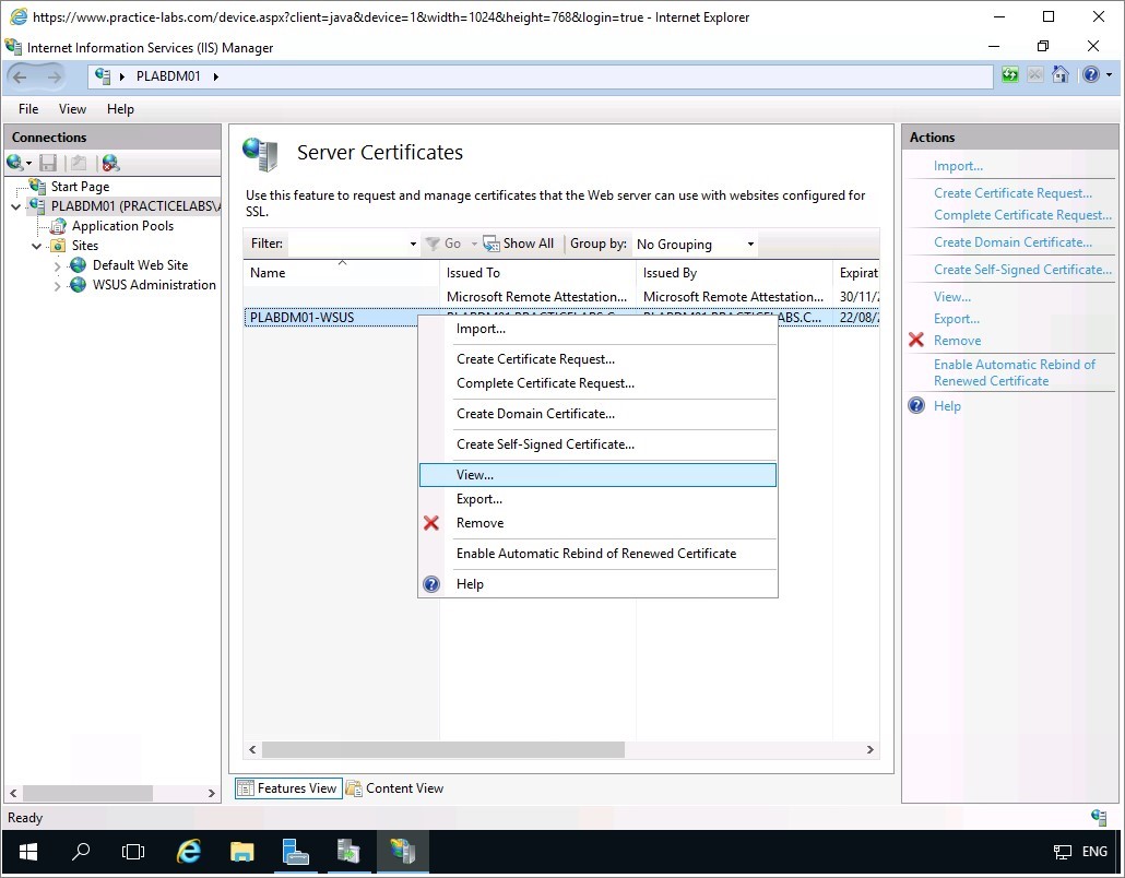 Figure 1.36 Screenshot of the PLABDM01 desktop