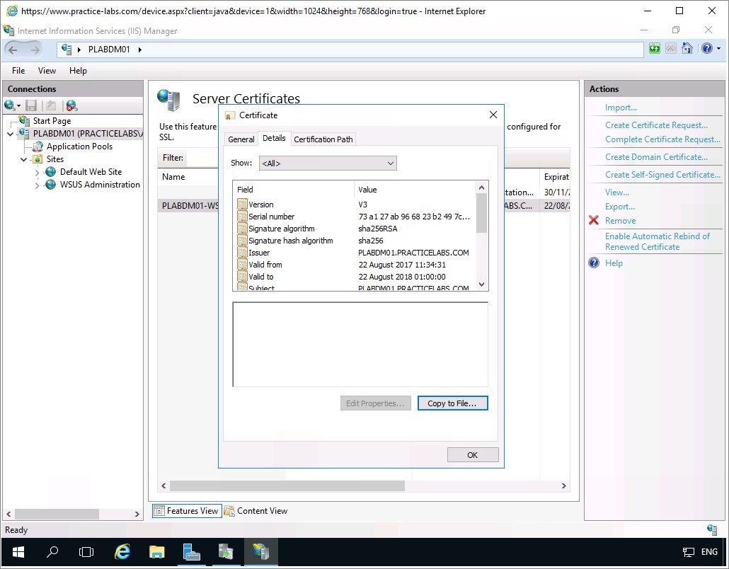 Figure 1.37 Screenshot of the PLABDM01 desktop