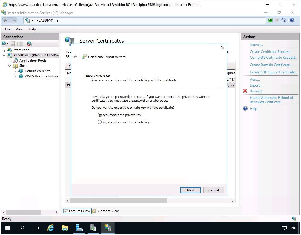 Figure 1.38 Screenshot of the PLABDM01 desktop
