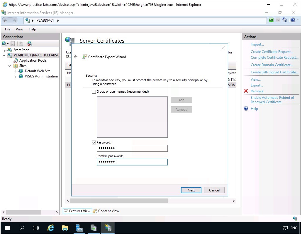 Figure 1.39 Screenshot of the PLABDM01 desktop
