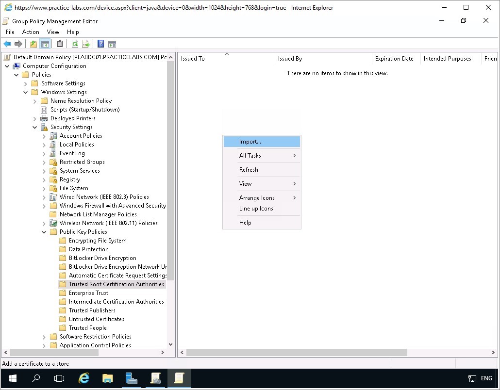 Figure 1.44 Screenshot of the PLABDC01 desktop