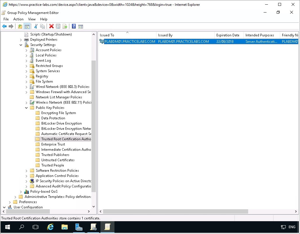 Figure 2.2 Screenshot of the PLABDM01 desktop