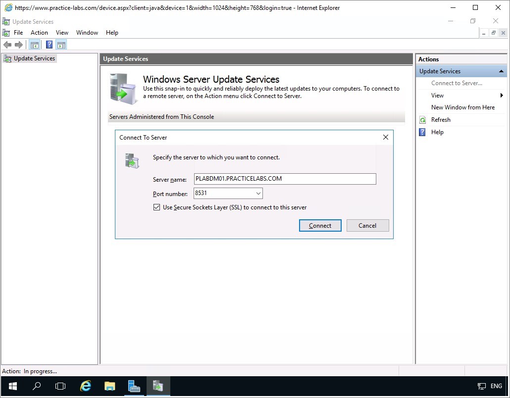 Figure 2.4 Screenshot of the PLABDM01 desktop