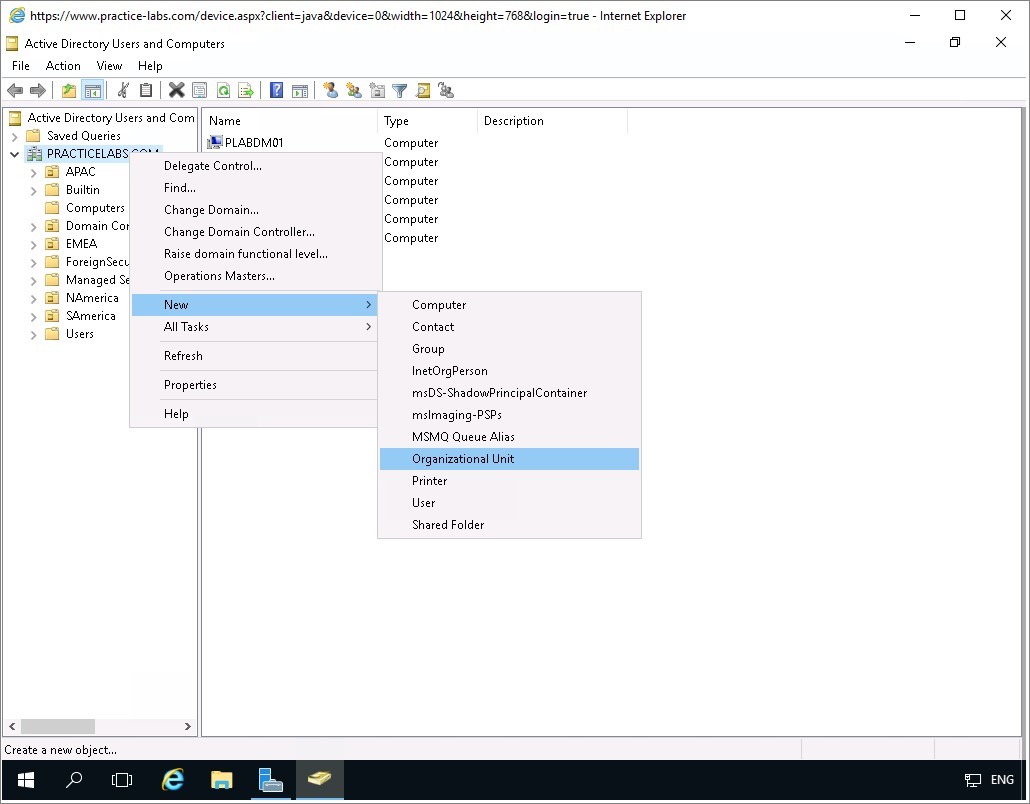 Figure 3.4 Screenshot of the PLABDC01 desktop