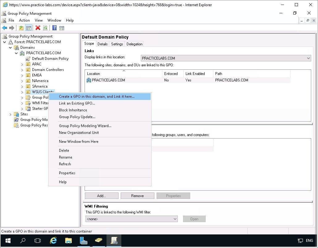 Figure 3.10 Screenshot of the PLABDC01 desktop