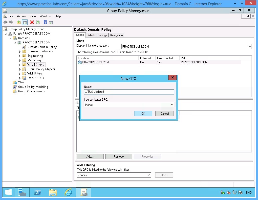 Figure 3.11 Screenshot of the PLABDC01 desktop