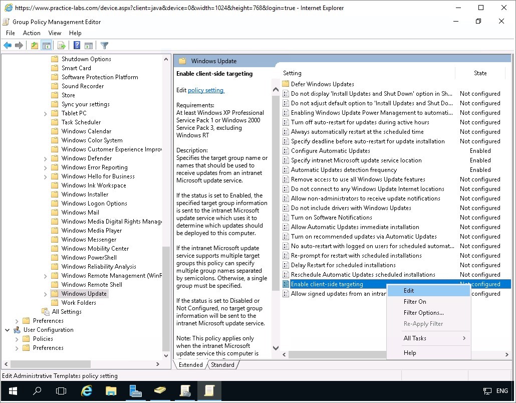 Figure 3.19 Screenshot of the PLABWIN10 desktop
