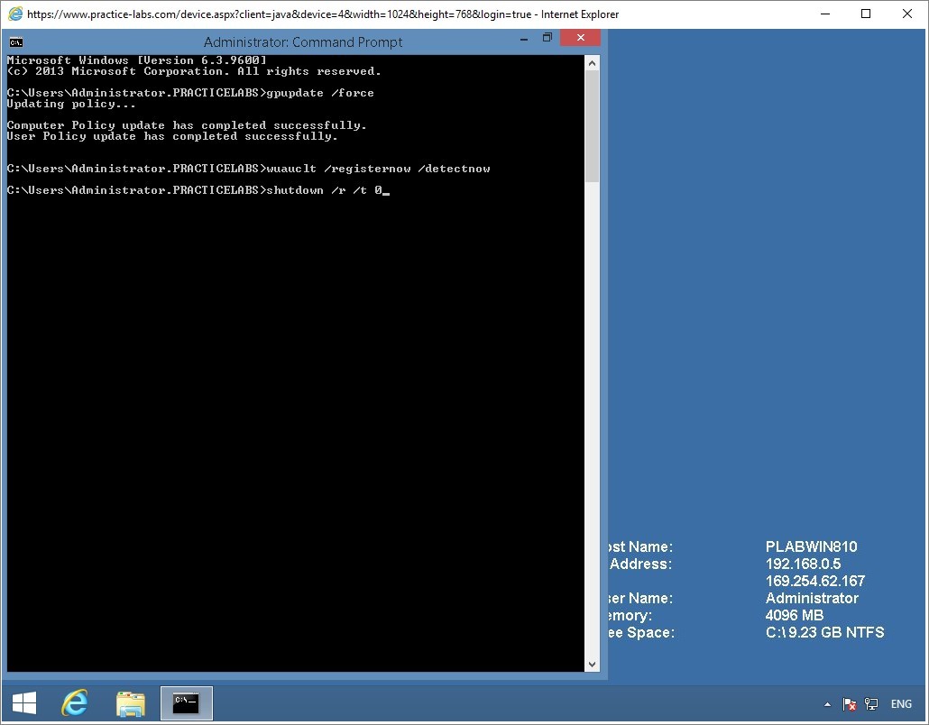Figure 3.24 Screenshot of the PLABWIN10 desktop