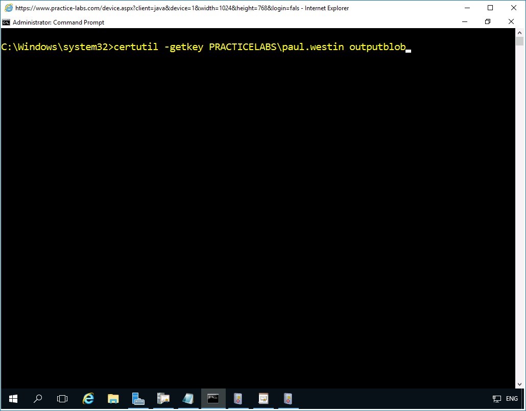 Figure 5.14 Screenshot of PLABDM01