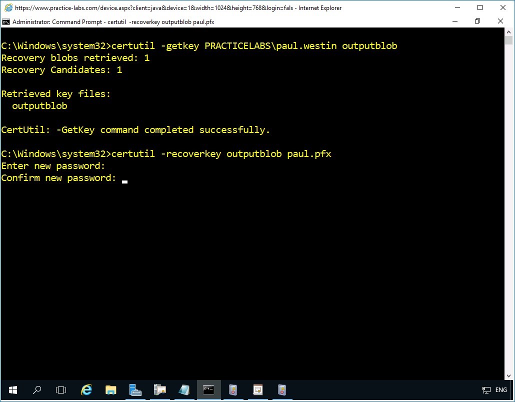 Figure 5.16 Screenshot of PLABDM01