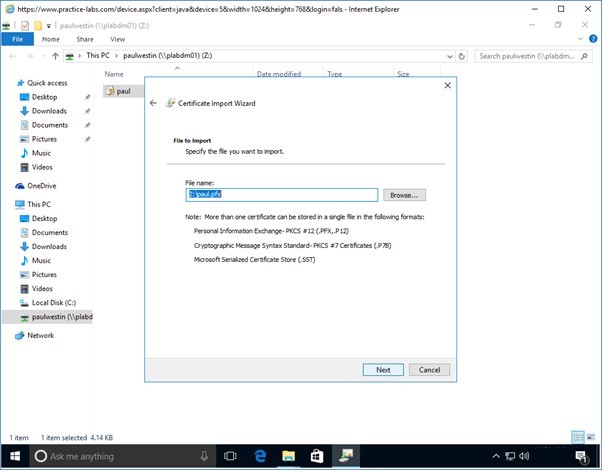 Figure 5.26 Screenshot of PLABWIN10